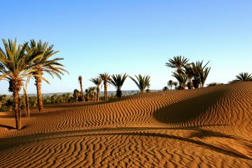 Viaje 5 dias desde Marrakech al Desierto